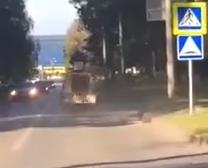 Гоночный каток: видео